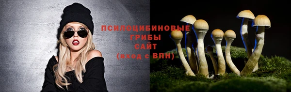 a pvp Балабаново