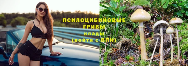 a pvp Балабаново