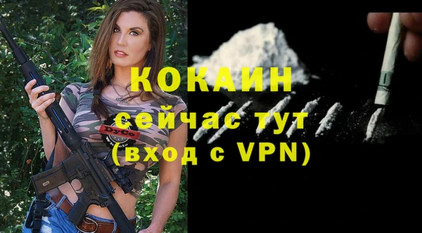 дживик Сосновоборск