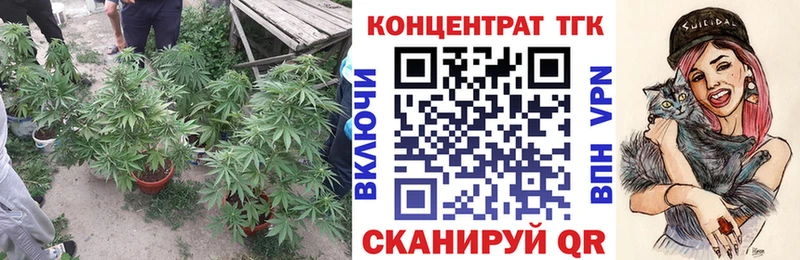 купить   Гулькевичи  ТГК концентрат 