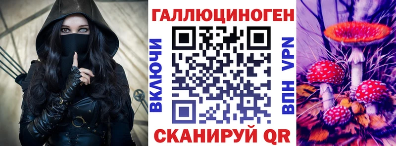 сколько стоит  Гулькевичи  Псилоцибиновые грибы мухоморы 