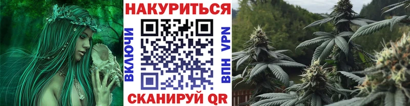 kraken как зайти  что такое   Гулькевичи  Бошки Шишки план 
